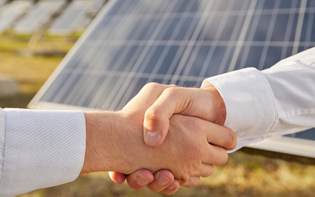 La bancabilidad de los fabricantes de paneles solares: ¿cómo elegir un proveedor confiable?
